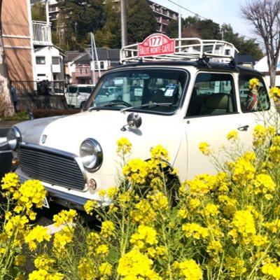 クラシックMINI・ムーブキャンバス・文鳥・猫・チョコ・カレー・甘いもの辛いものが大好き♡ 車・料理・自然・可愛いもの・日々の事いろいろ気ままに呟いてます。音楽ユニット栞で、まれに歌ったりも♪