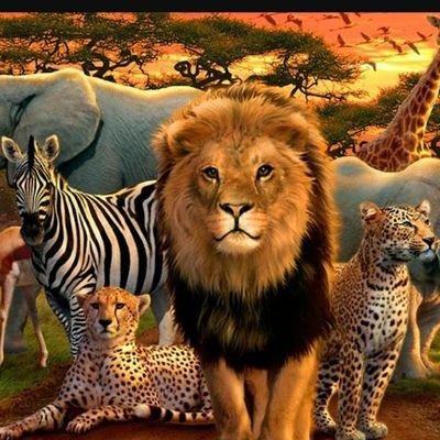 This is the Official Twitter handle of the State Department for Wildlife