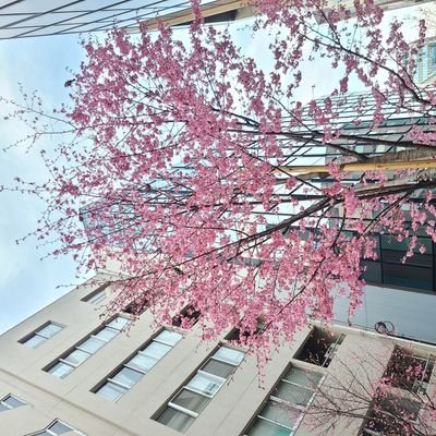 mimichalle's profile picture. アラサーだけど垢抜けたい😣
2025.11～むーんず🌙5期入会っ
2026に向けて少しずつ頑張る！
無言フォロー失礼します🙇
🔰美容初心者卒業したいっ

#むーんぱわーさろん