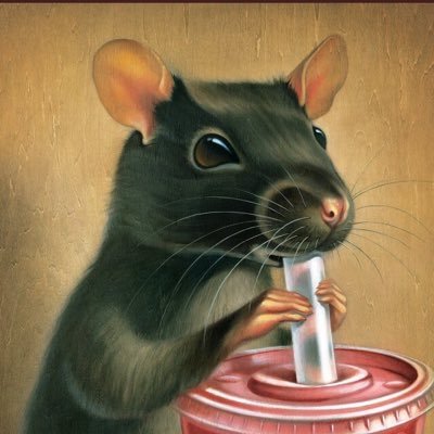 dayvidjl's profile picture. 