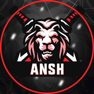 Ansh9876543210's profile picture. Part of @keepersalliance Ko9Th 🫶🏻 @STRUTesportsHoM