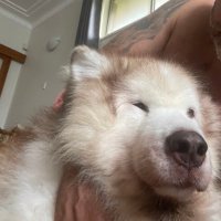 wb1234 (@wallybechara) 's Twitter Profile Photo