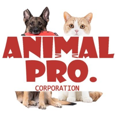 animalpro_1212 Profile Picture