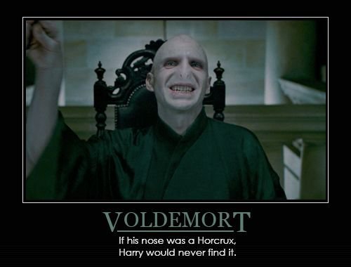 NoNoseNoLife's profile picture. 