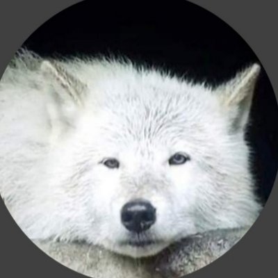 Met beide benen op Moeder Aarde🌍
#PrayForUkraine🇺🇦🕊
#MeToo
#WomenLivesMatter👩🏽🦱
#AnimalLivesMatter🐾
#BlackLivesMatter
#BackTheBlue👮
#StandForWolves🐺
