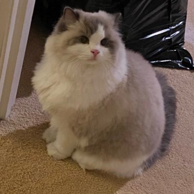 timetobank's profile picture. 