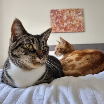 TreTreFlips's profile picture. 