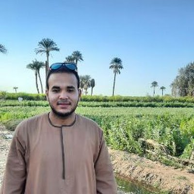 AhmedHo60923263's profile picture. 