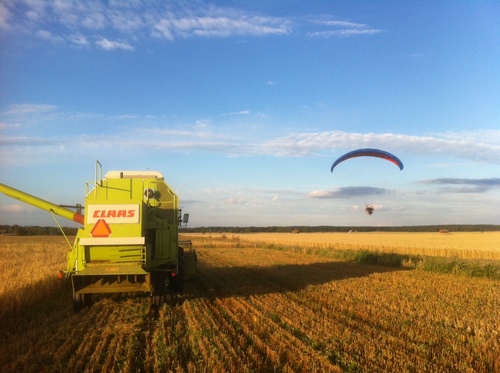 Matteby2's profile picture. Ekobonde; odlar vete, havre o ogräs. Agricoltore biologico, Svezia, cultiva avena, il grano e erbacce. Organic farmer, Sweden, growing wheat, oats and weed.