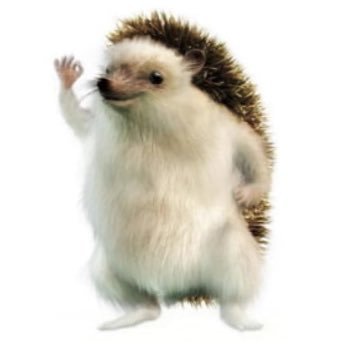 11TaNaKa22's profile picture. aiko 阪大 バド部 R