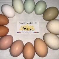 Farm Friends LLC(@FarmFriendsLLC) 's Twitter Profile Photo