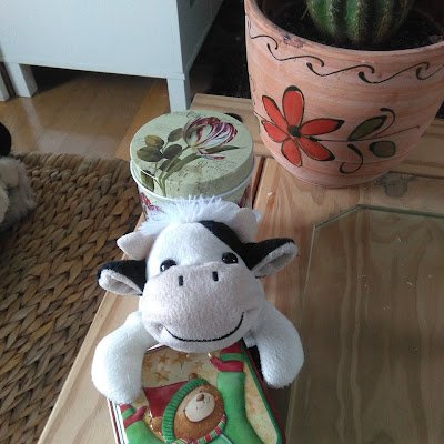 LuisCar43688139's profile picture. Alegre