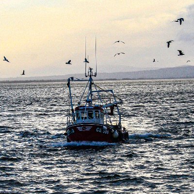 The voice of Ireland's fishing industry and coastal communities.