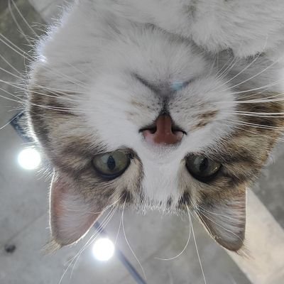 jmHさんのプロフィール画像