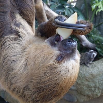 旦那が大好き。子供3人います。
幸せの連鎖を信じているので幸せな人の近くにいたいと日々願っております。
笑顔を絶やさない人になりたい！！

変なルールは知りません。　
ルール重視の方仲良くできません。
タメ口OK®︎☻®です
仲良くしてくれる方だけウェルカムです。