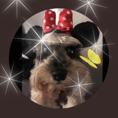 lilianadasc's profile picture. #Loan 🙏 #LijoNo #ElQueLasHaceLasPaga #CorrupciónOJusticia #BloquearEsDelito #RecuperemosLaPatagoniaArgentina🇦🇷 #DondeEstaMarcelaLopez #BringThemBack🇮🇱🎗️