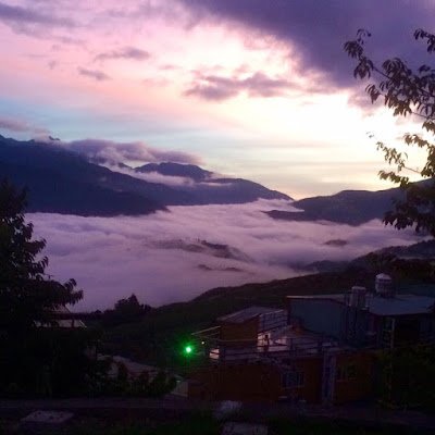 saohaem92's profile picture. Tình cảm