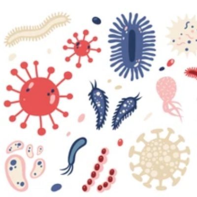 Microb'Up Profile