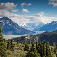 Crimunal (@dboh420) 's Twitter Profile Photo