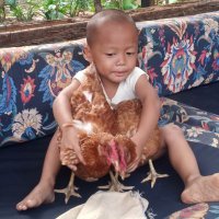 Afiq Naufal Hisyam (Pau Pau) (@nuryanitest123) 's Twitter Profile