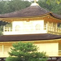 ボンボン (@ekvkigvlw5rvkoy) Twitter profile photo