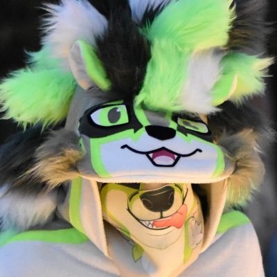 TheFlukeBadger Profile Picture