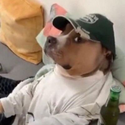 RyanDasMolieres's profile picture. https://t.co/9wnYWu4AHZ
Faço live as vezes
