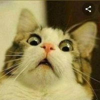 ScareddyKat (@scareddyk) 's Twitter Profile
