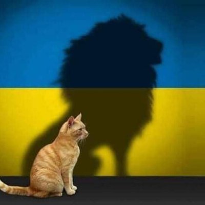 6💉😷🇺🇲,💙💛🇺🇦🌻, I Stand with Ukraine 💯‼️🇮🇱,💙🌊Democrats,❤🐱,❤🐶,🚫Trump, 🚫MAGA'S, 🚫Russia, 🚫Trolls, 🚫Bots, 🚫Cams, 🚫Porn, 🚫Scams