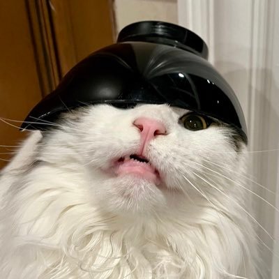 MitzyS3's profile picture. 