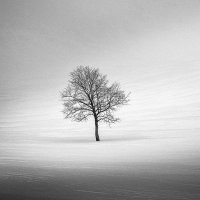 P. T. Barva (@ptbarva) 's Twitter Profile Photo