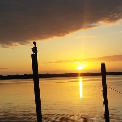 floridabeagle's profile picture. Key Largo