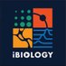 iBiology (@ibiology) Twitter profile photo iBiology (@ibiology) Twitter profile photo