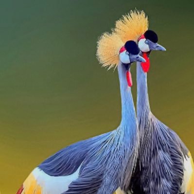 Adante2503's profile picture. Hustler