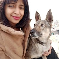 Ammu (@ammu28707972) 's Twitter Profile Photo Ammu (@ammu28707972) 's Twitter Profile Photo