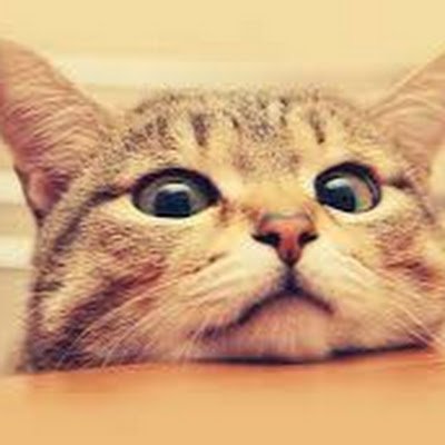 gimdong75919341's profile picture. 