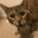 sana 🌙 - @SanaDelRay_ - Twitter