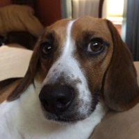 Jack Edwards (@charliejackboy) 's Twitter Profile Photo Jack Edwards (@charliejackboy) 's Twitter Profile Photo