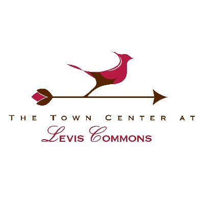 LevisCommons Profile Picture