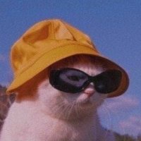 simon (@hufmm) 's Twitter Profile