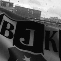 Bertuğ Yalçın (@bertug_yalcn41) 's Twitter Profile