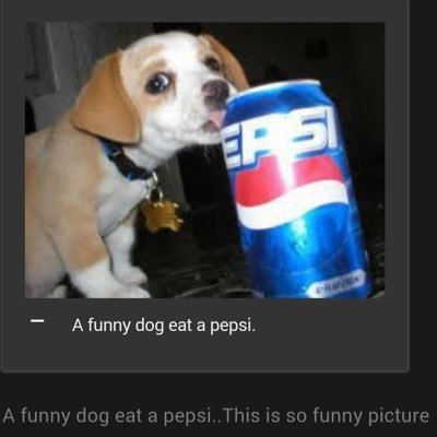 Cl0wnBoy's profile picture. I am in pain | connoisseur of all things awful | they/them