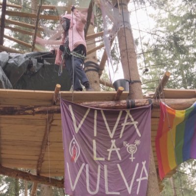 dingshierfoto's profile picture. fotojournalistin auf dem absteigenden ast • sie/ihr