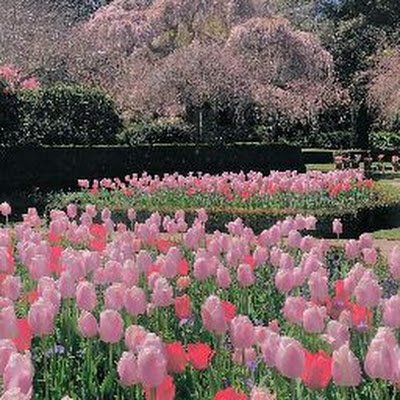 Jl Jlさんのプロフィール画像