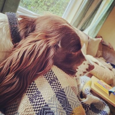 Staffordshire girl in West Essex. Farm consultant, passionate about all things farming, the countryside & local food. Devotee of tweed.