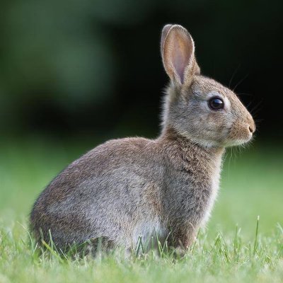 Traktuj innych tak , jak sam chciałbyś być traktowany 🇵🇱🇪🇺🇺🇦