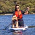 Suzanne & Reggie the Cockapoo (@outdoorsandme) Twitter profile photo Suzanne & Reggie the Cockapoo (@outdoorsandme) Twitter profile photo
