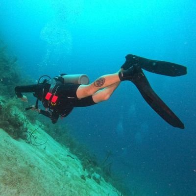 cptphenix's profile picture. Mad scientist, food and beer connoisseur, T-Rex tamer/rider, Spatial Analyst, Pirate, and all around bad ass.