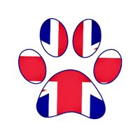 Veterans With Dogs (@veteranswdogs) 's Twitter Profile