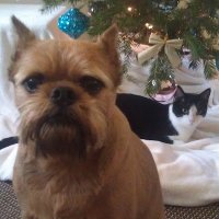Tricia D (@greymortenson) 's Twitter Profile